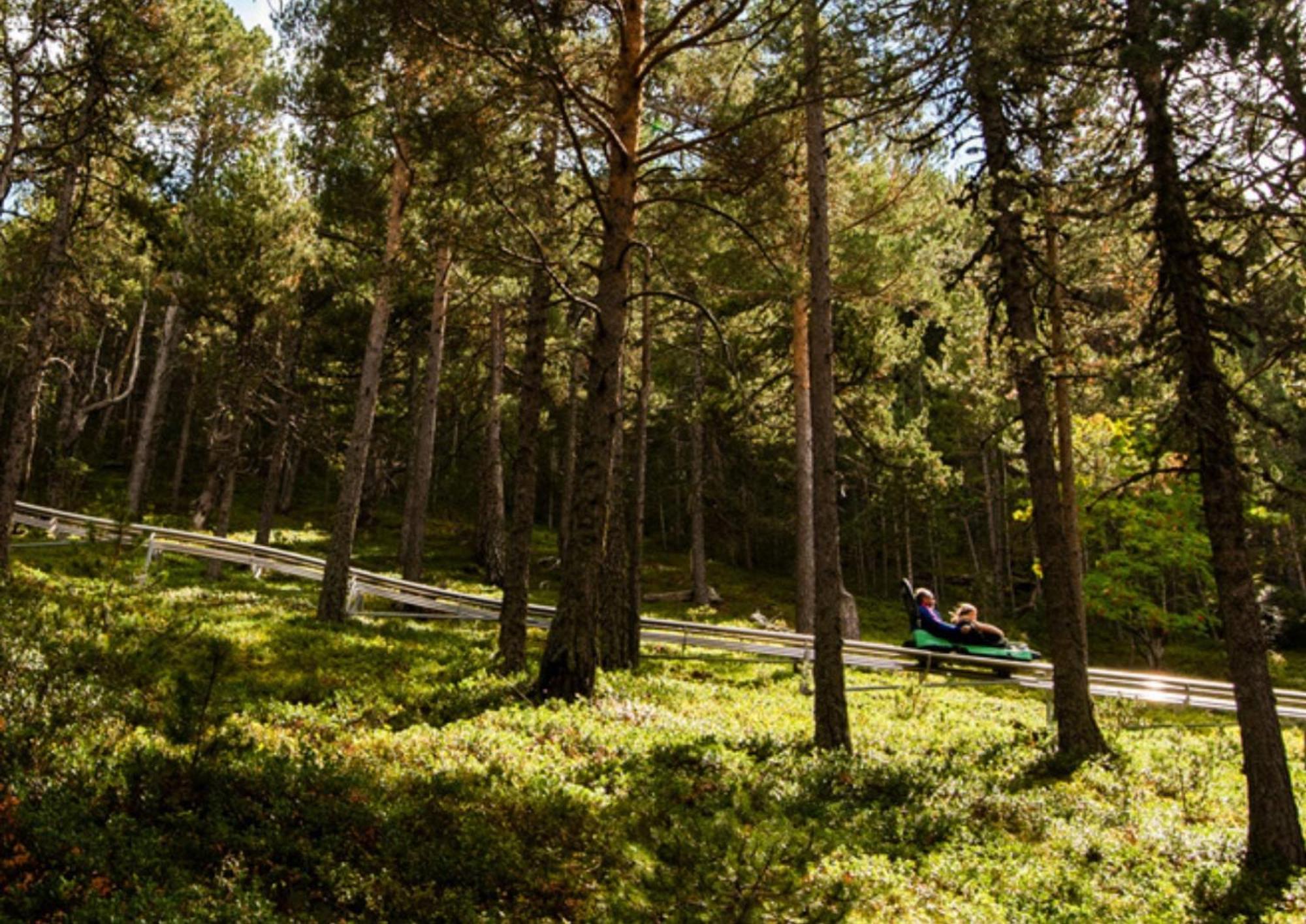 Apartamento moderno El Bosque en Arinsal Exterior foto